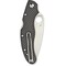 Spyderco 2024 Spyderco Caly 3.5 Carbon Fiber Plain SPY-C144CFPE - alternate 2